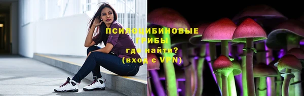 спайс Алексин
